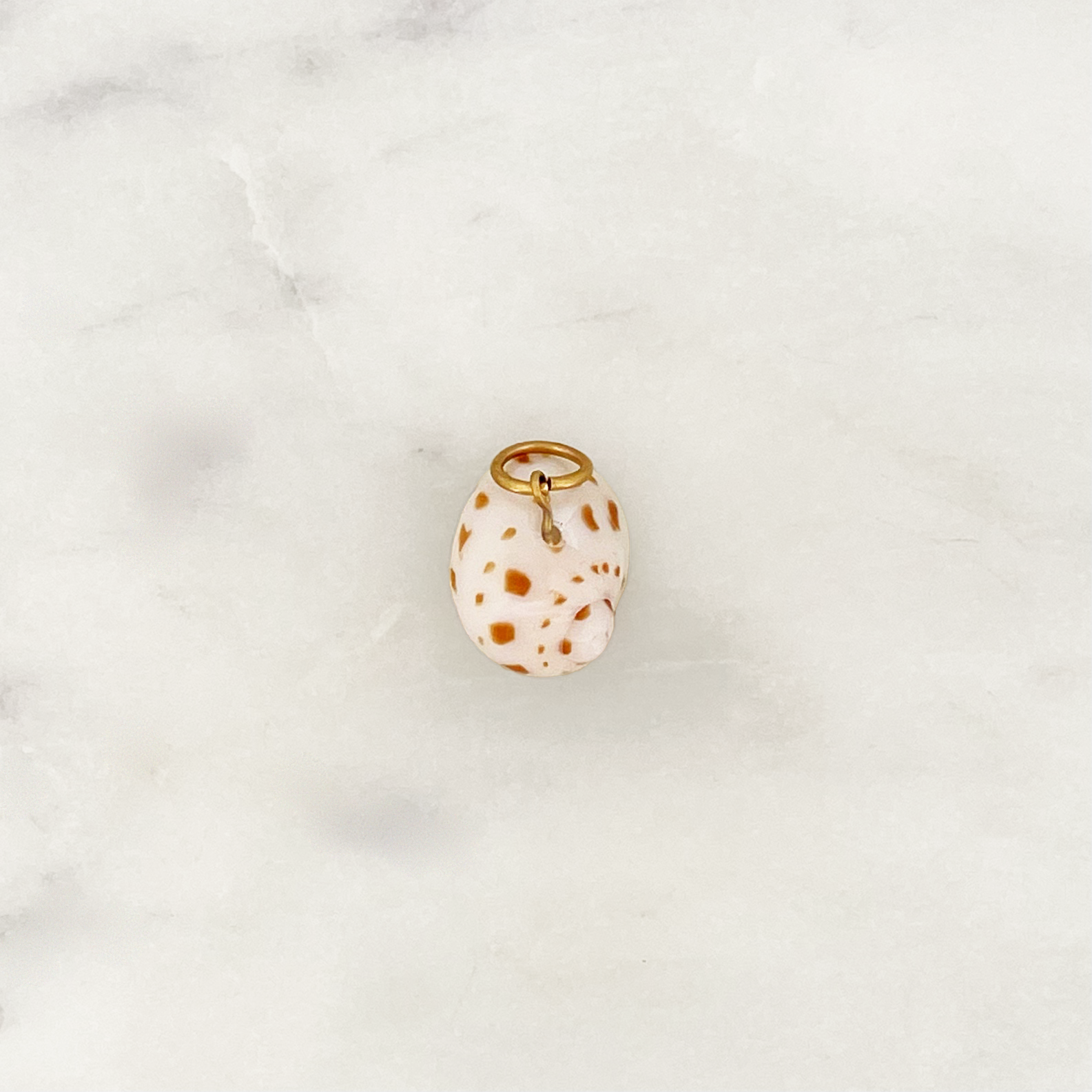 DYO Beach Shell DYO Beach Shell