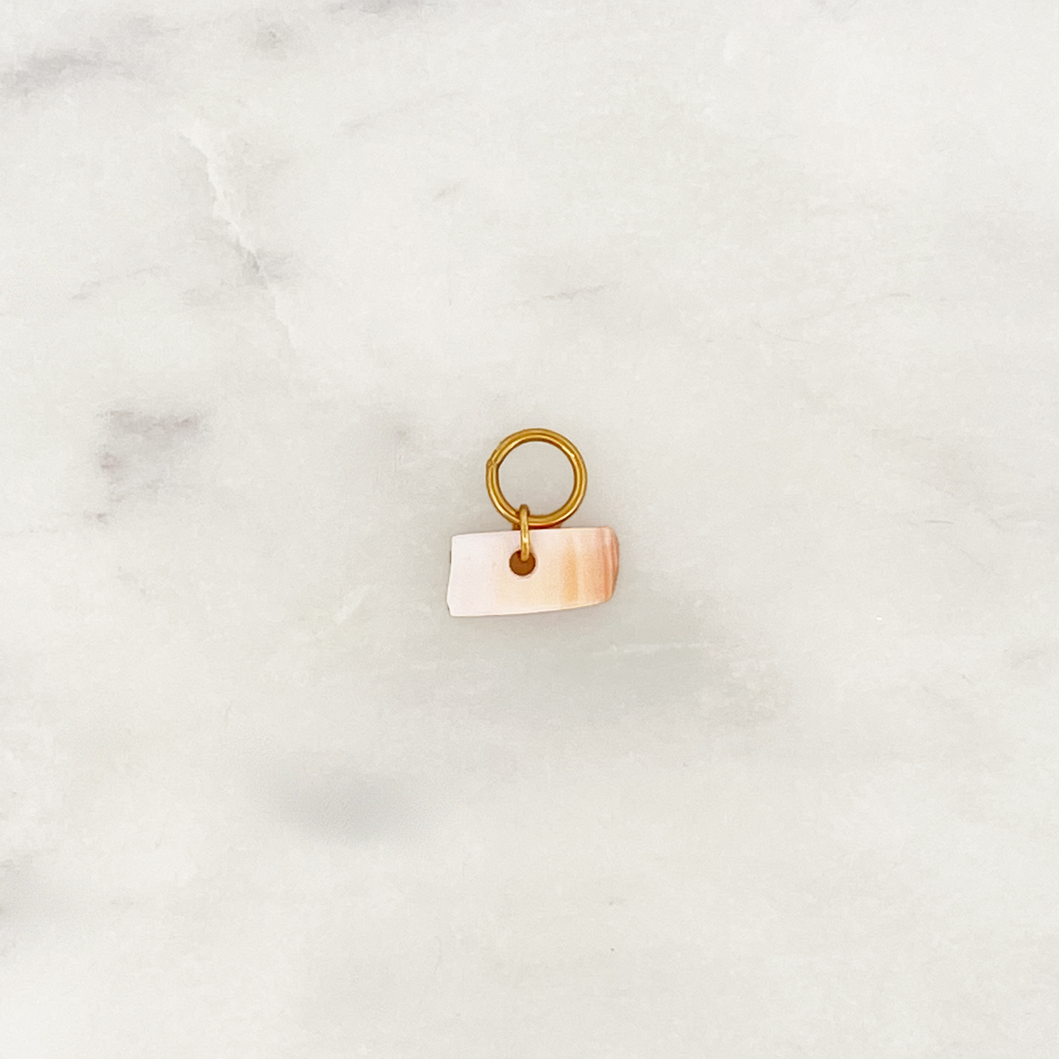 DYO Coral Shell DYO Coral Shell