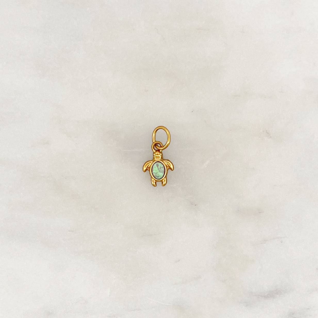 DYO Mint Turtle DYO Mint Turtle