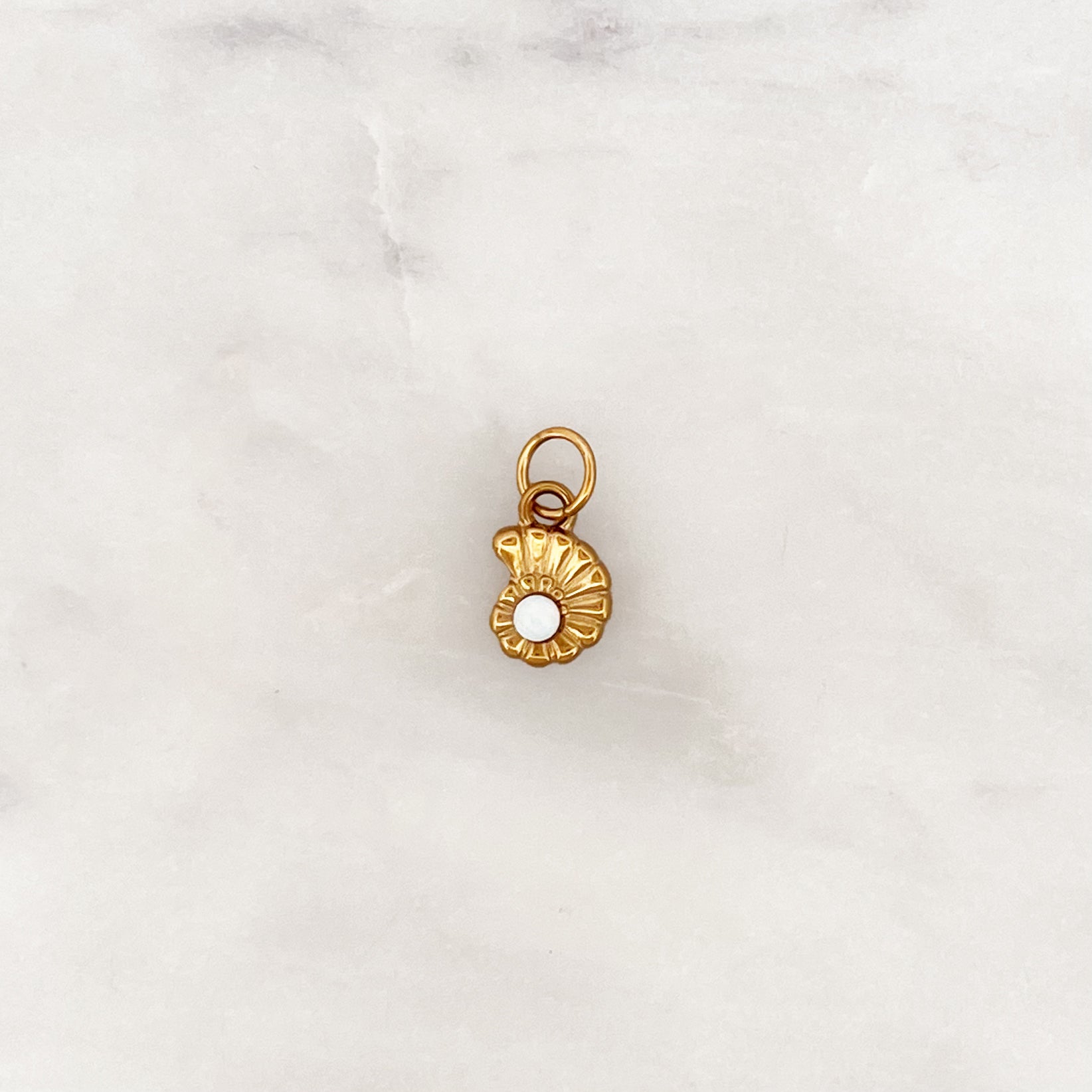 DYO Opal Moon Shell DYO Opal Moon Shell