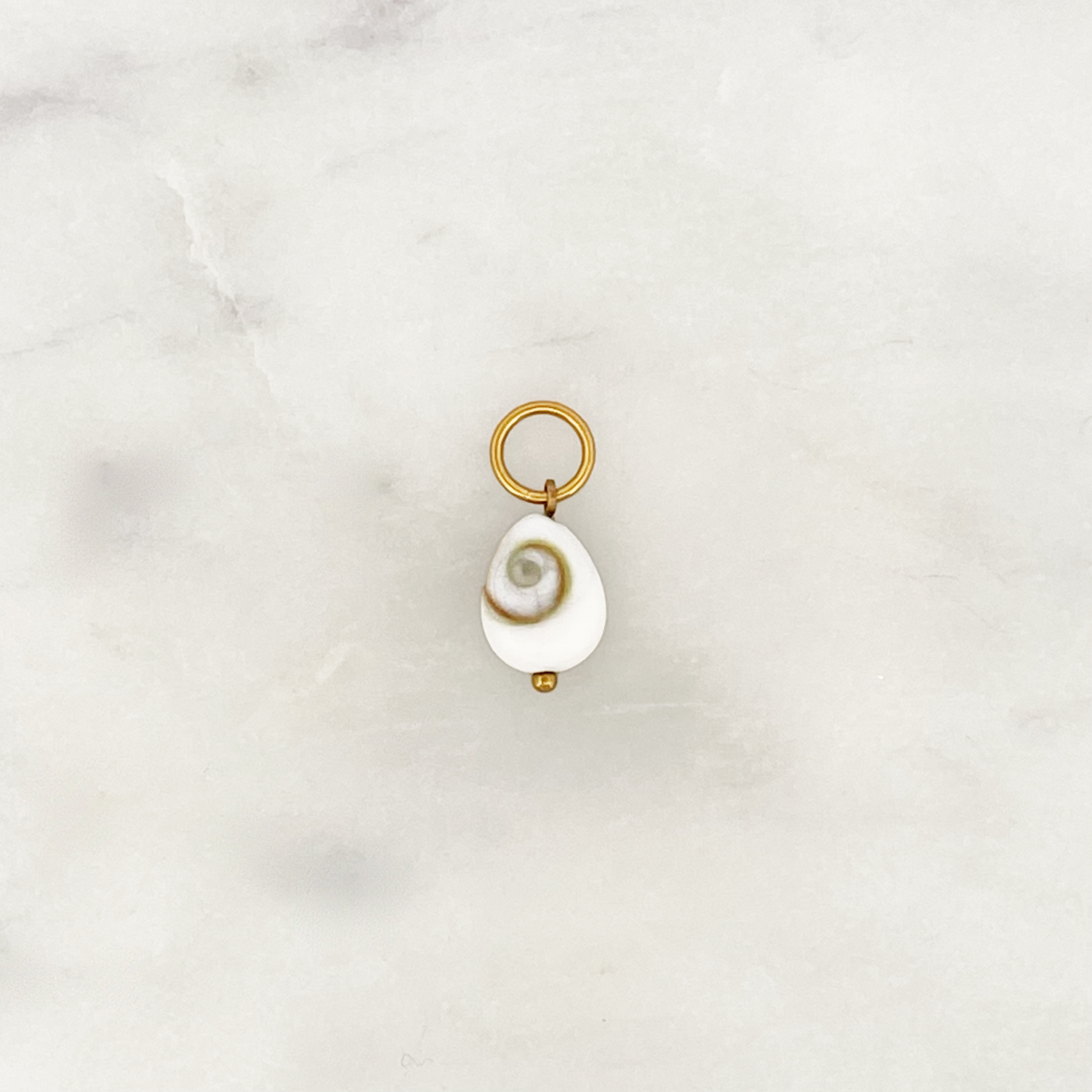 DYO Oval Shiva Shell DYO Oval Shiva Shell