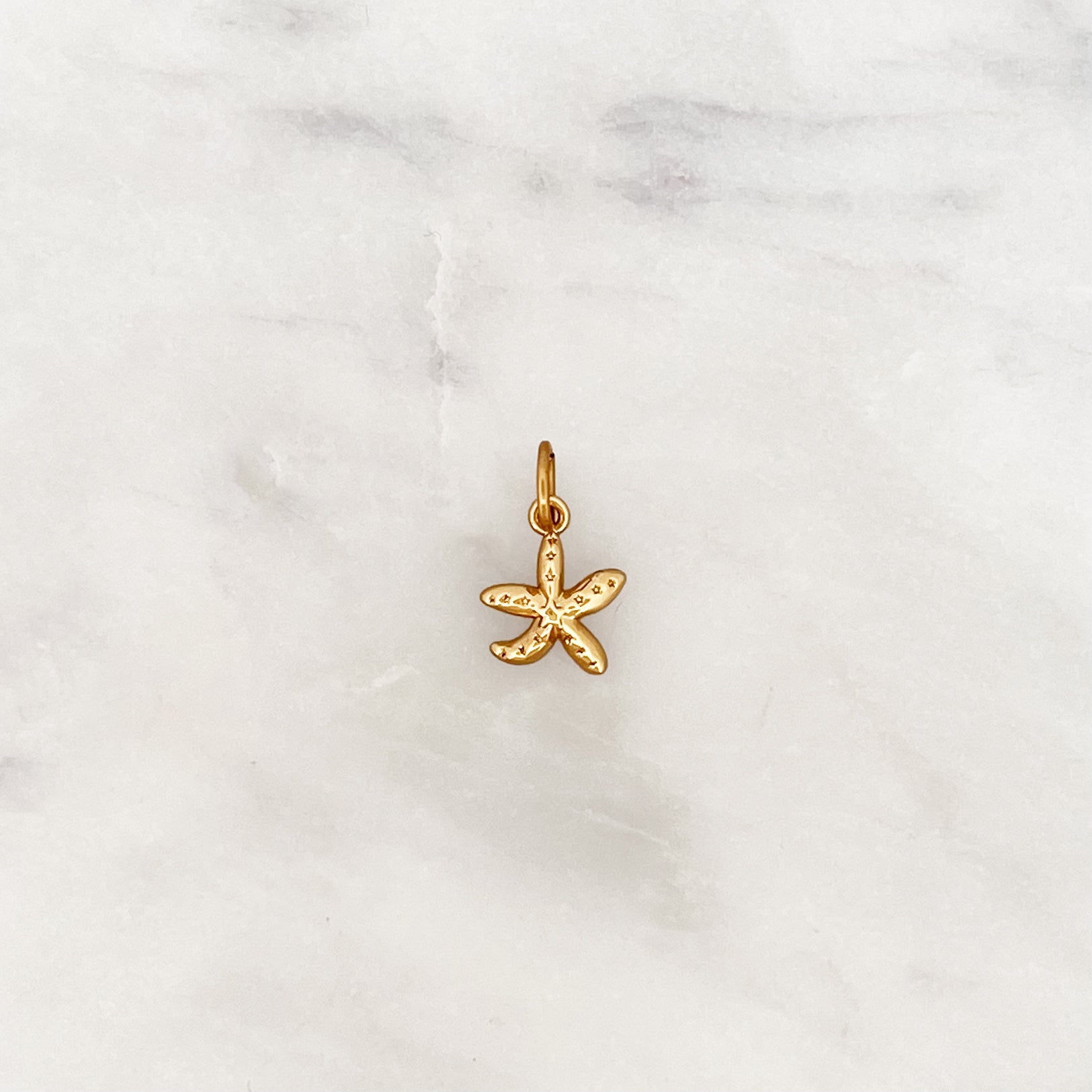 DYO Starfish DYO Starfish