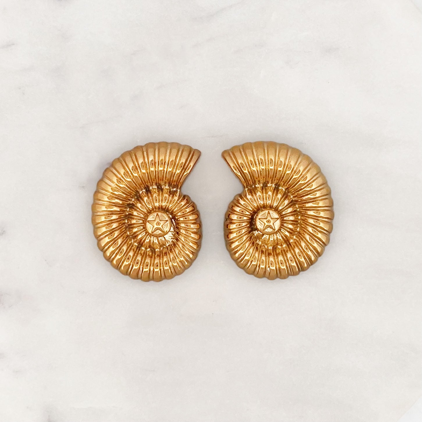 Seashell Earstud Set Seashell Earstud Set