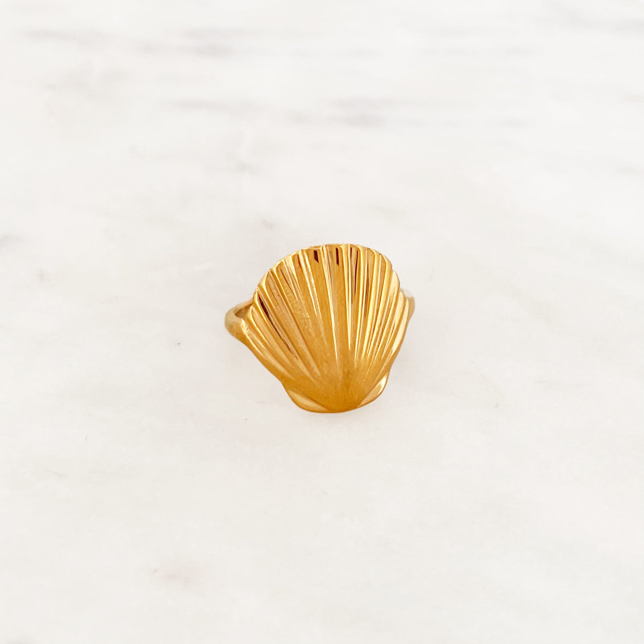 Shell Ring Shell Ring