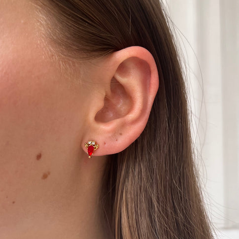 Earstud Lobster