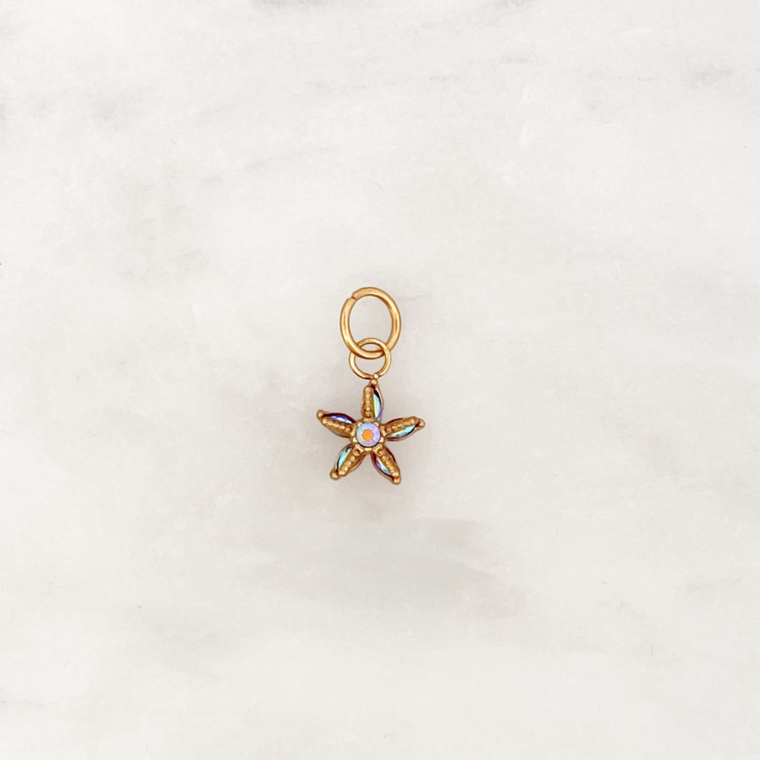 DYO Multi Starfish
