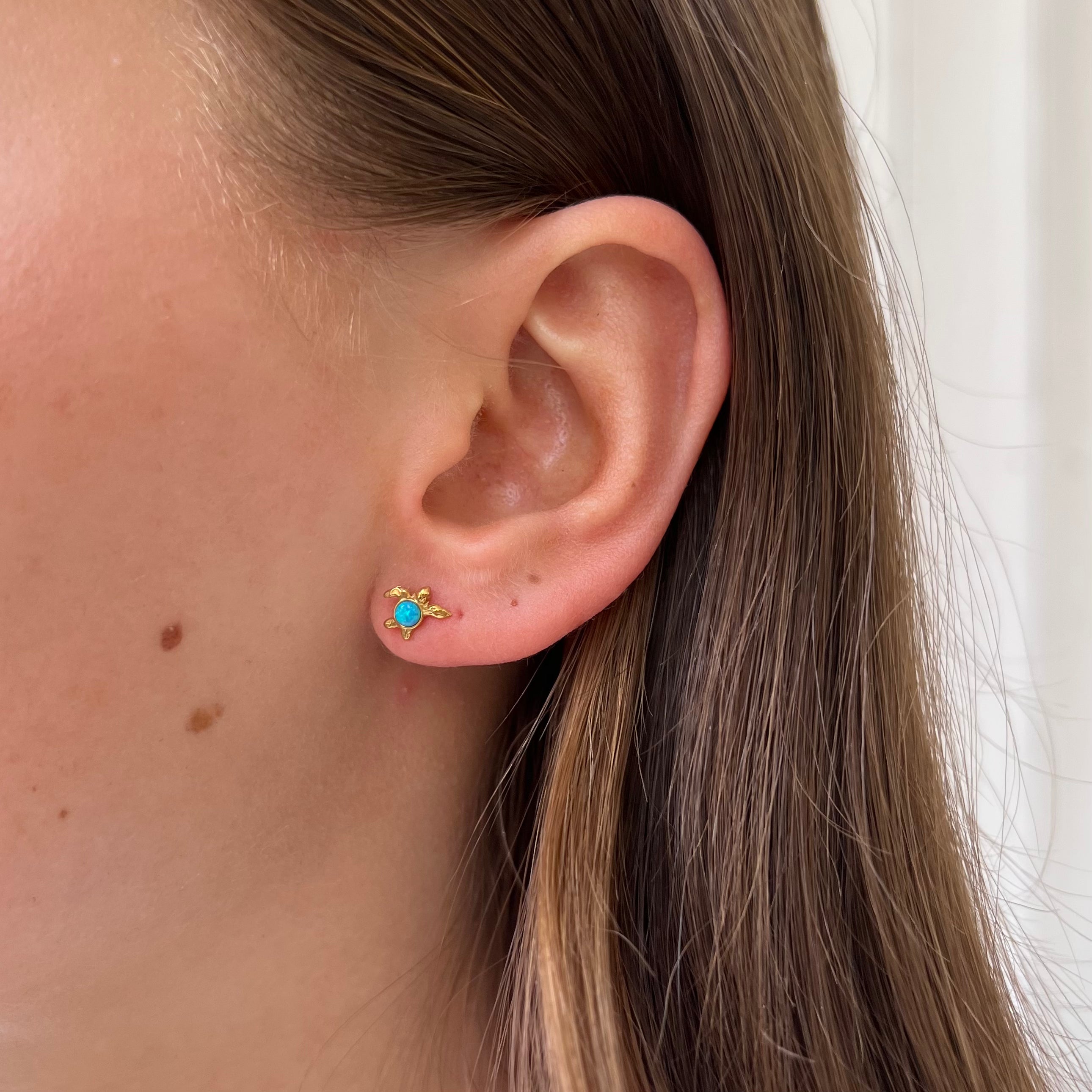 Earstud Blue Turtle