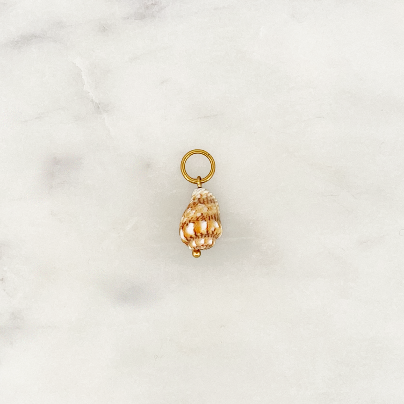 DYO Beige Spiral Shell