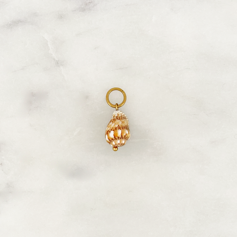 DYO Beige Spiral Shell