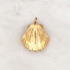 DYO Big Scallop