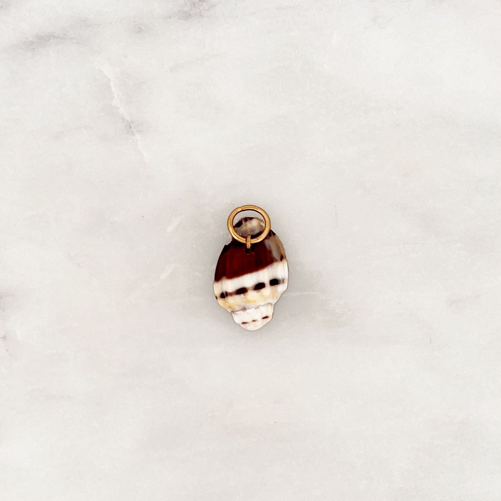 DYO Brown Beach Shell