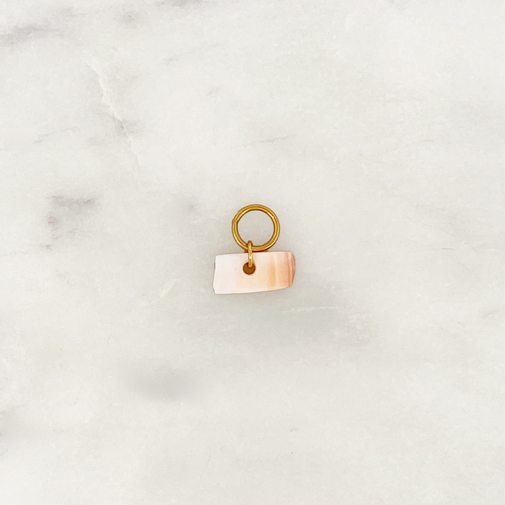 DYO Coral Shell