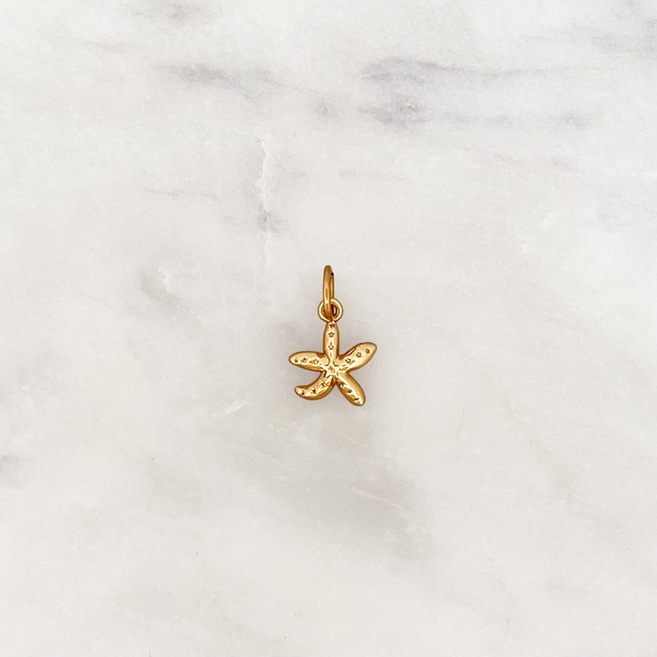 DYO Starfish