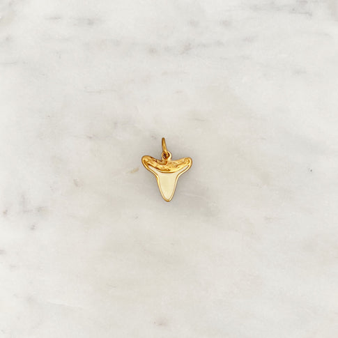 DYO Shark Tooth