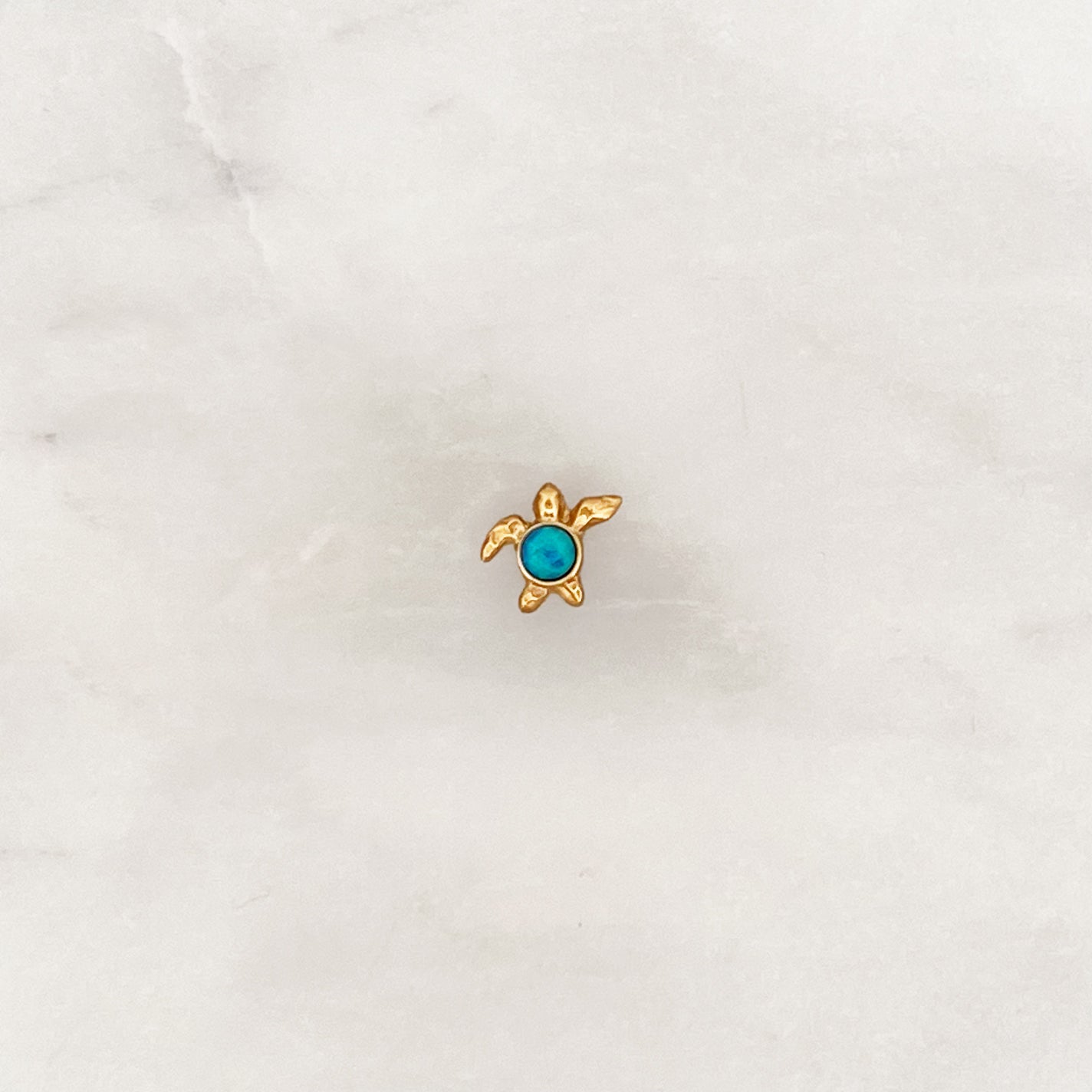 Earstud Blue Turtle