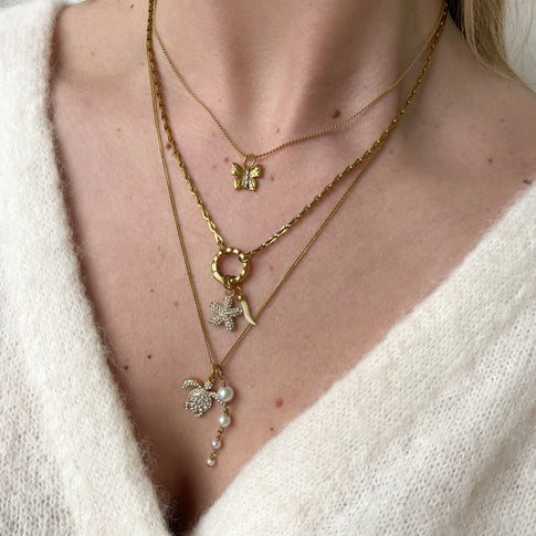 DYO Shiny Turtle