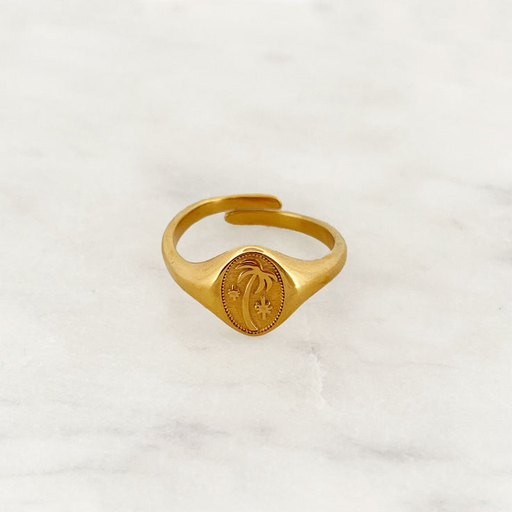 Palm Amulet Ring